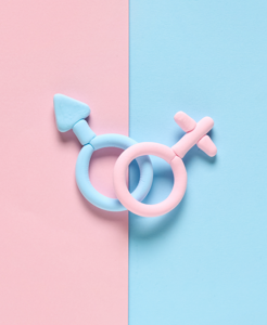 Empowering Change: How Platcorp Uses Data to Drive Real-World Impact in Gender and Inclusion