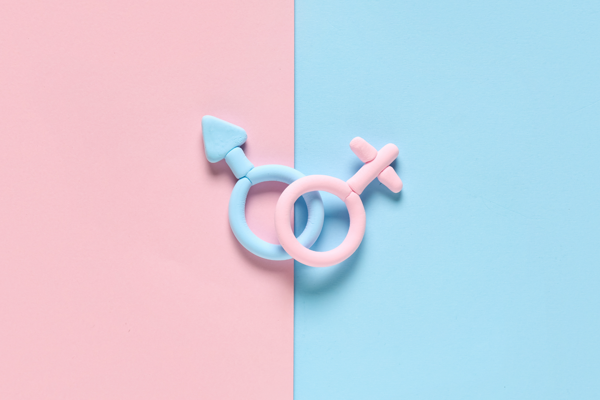 Empowering Change: How Platcorp Uses Data to Drive Real-World Impact in Gender and Inclusion