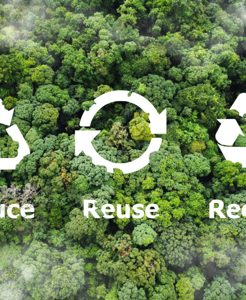 ♻️ Waste Less, Do More:  Platcorp's Journey Towards a Sustainable Office