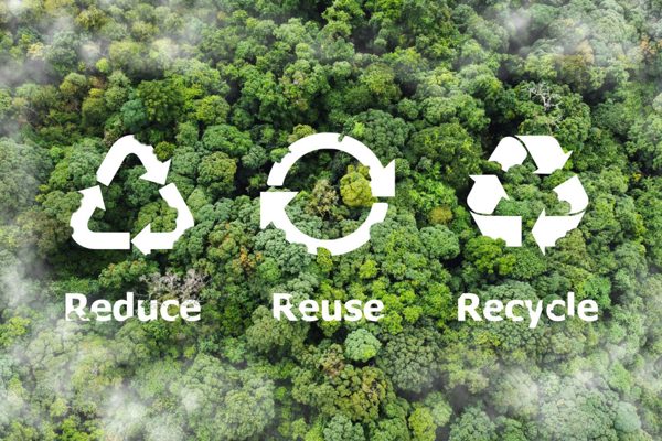 ♻️ Waste Less, Do More:  Platcorp's Journey Towards a Sustainable Office