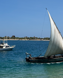 Inside our Partnership with LaMCoT Rooted in Community and Conservation