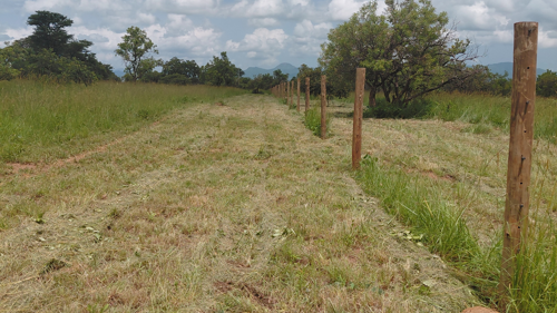 Kidepo rhino sanctuary fence