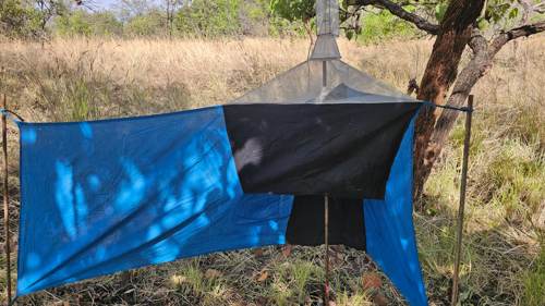 Tsetse fly trap