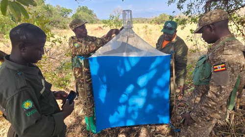 UWF Team setting up tsetse fly traps