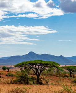 A New Dawn for Kidepo: Rhinos, Resilience, and Community Empowerment