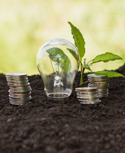 When capital meets climate: why Africa is the next sustainable boom