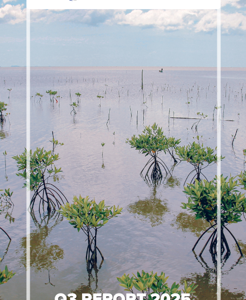 Platcorp Foundation Q3 Report 2025